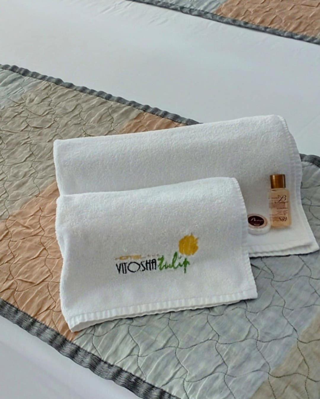 Vitoshko Lale Hotel Sofia Zewnętrze zdjęcie